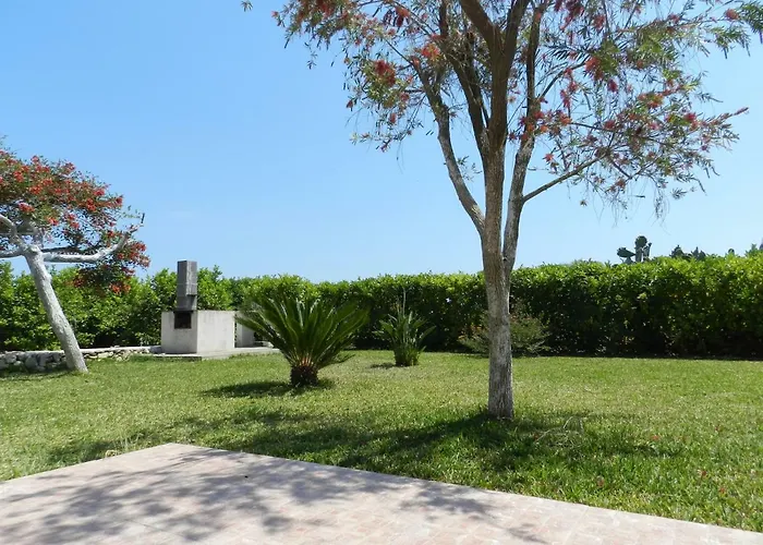 I Colori Degli Agrumi *